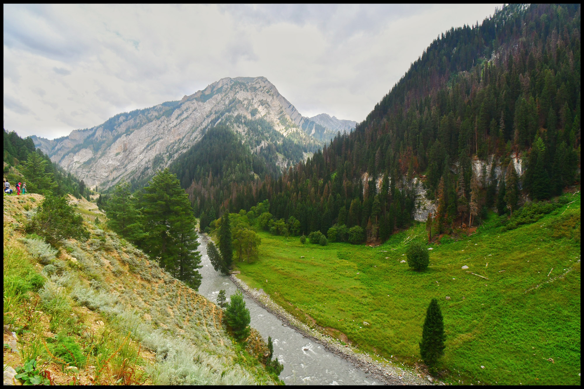 River flowing from Pakistan to India